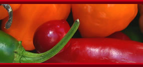Miller's Hot Sauce