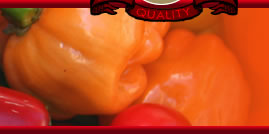 Miller's Hot Sauce